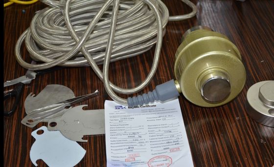 12t cyfrowe ważenie ogniw obciążnikowych dostawca